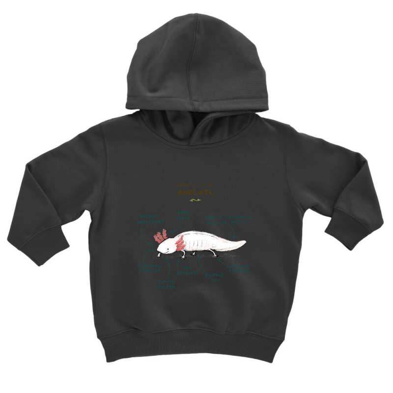 Anatomy Of An Axolotl Toddler Hoodie by Min09 | Artistshot