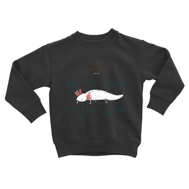 Anatomy Of An Axolotl Toddler Sweatshirt by Min09 | Artistshot