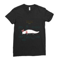 Anatomy Of An Axolotl Ladies Fitted T-shirt | Artistshot