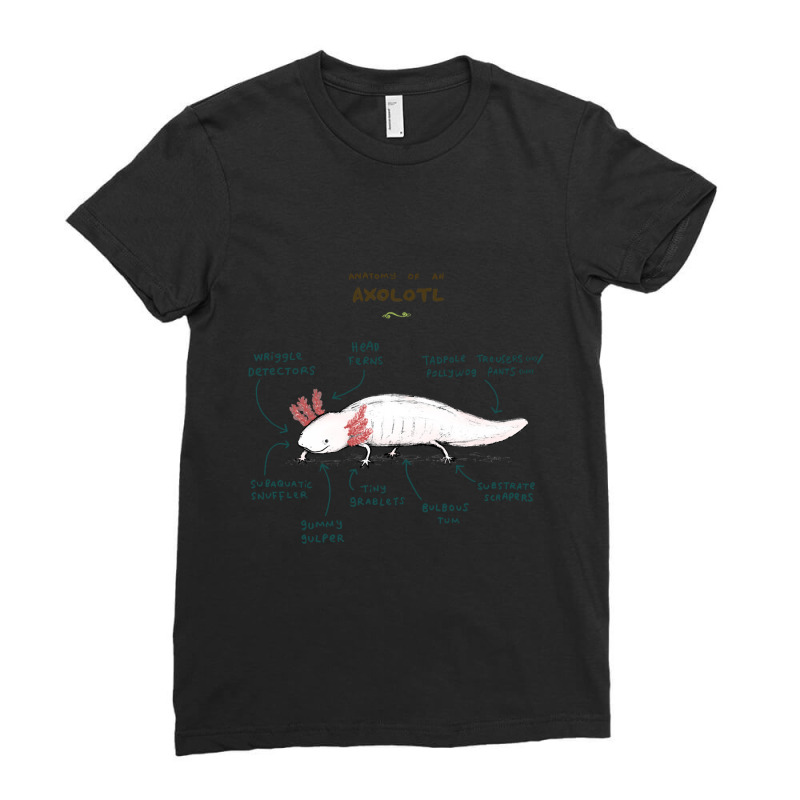 Anatomy Of An Axolotl Ladies Fitted T-Shirt by Min09 | Artistshot