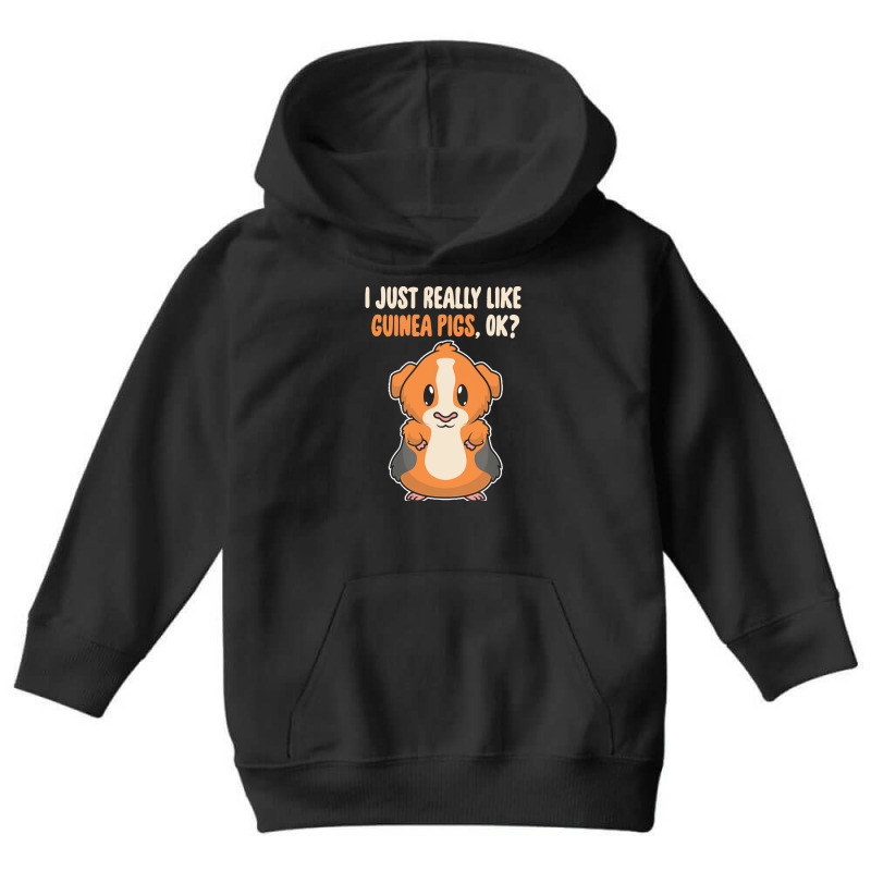 I Just Really Like T  Shirt I Just Really Like Guinea Pigs O K Youth Hoodie | Artistshot