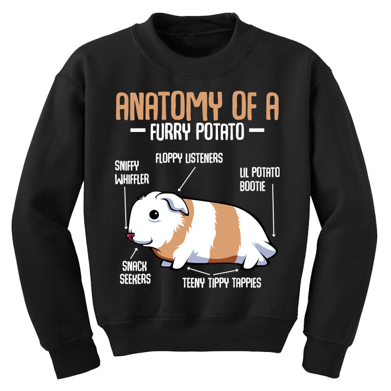 Anatomy Of A Furry Potato Guinea Pig Household Pet Animal Youth Sweatshirt by ElizabethAtist | Artistshot