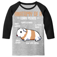 Anatomy Of A Furry Potato Guinea Pig Household Pet Animal Youth 3/4 Sleeve | Artistshot