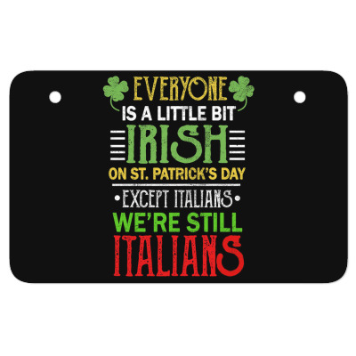 Italians Irish Atv License Plate Designed By Bariteau Hannah
