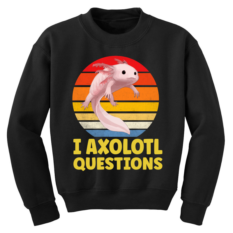 I Axolotl Questions Man And Woman Axolotl Lovers Youth Sweatshirt by Min08 | Artistshot