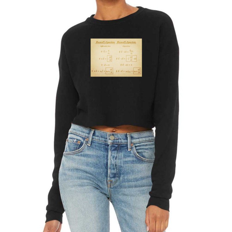 Maxwell's Equations Cropped Sweater by LouisPlumley | Artistshot