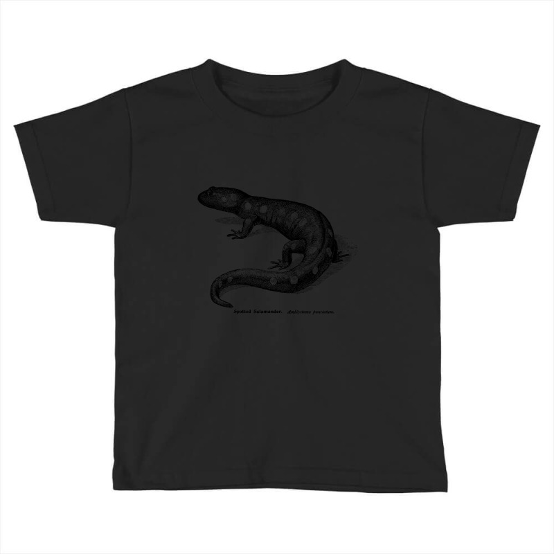 Spotted Salamader - Vintage Scientific Illustration Toddler T-shirt by Min08 | Artistshot