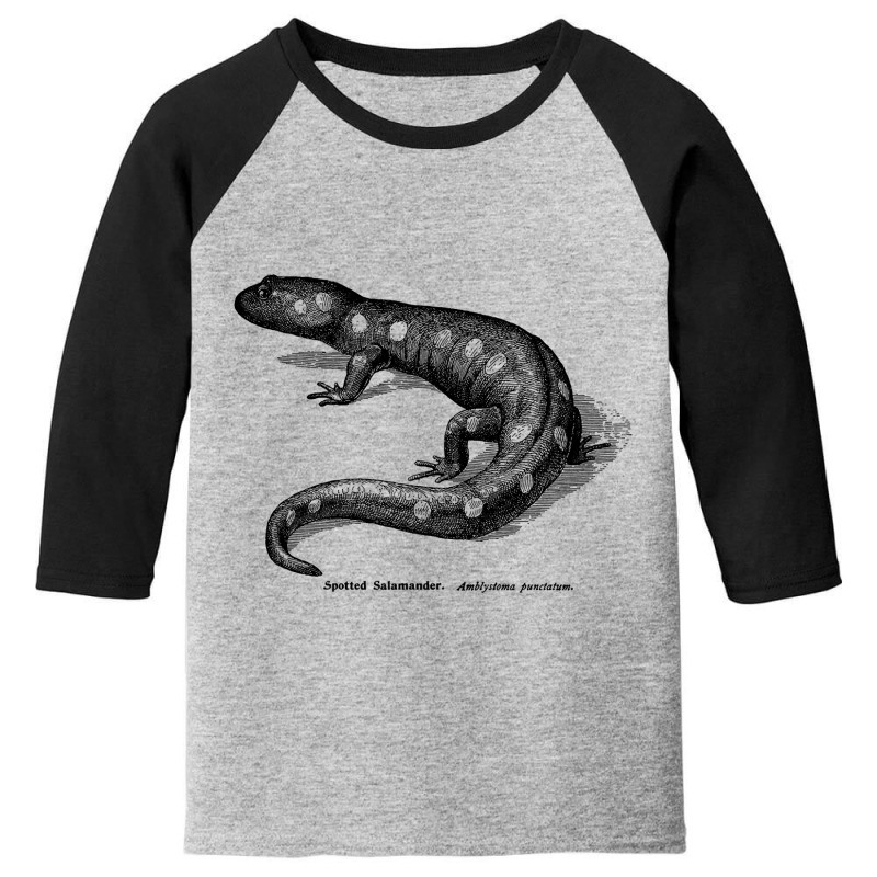 Spotted Salamader - Vintage Scientific Illustration Youth 3/4 Sleeve by Min08 | Artistshot