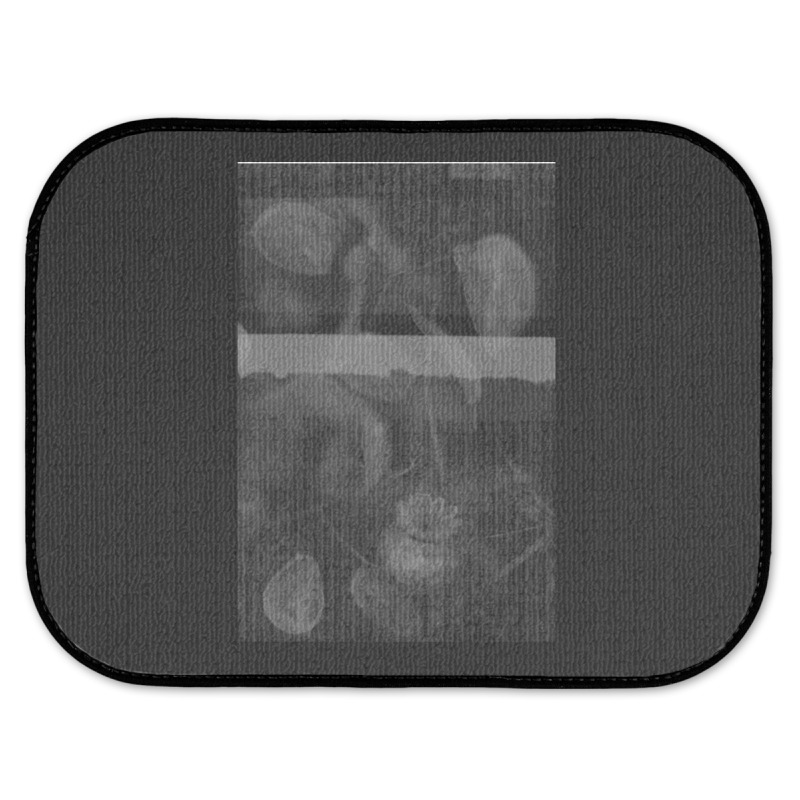 Poppy Seed Heads 2 Rear Car Mat | Artistshot