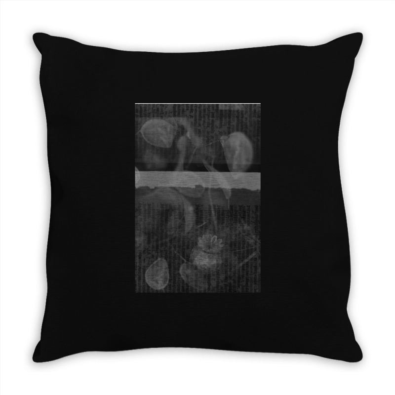 Poppy Seed Heads 2 Throw Pillow | Artistshot