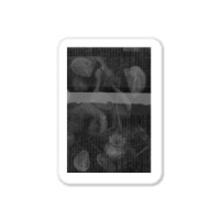 Poppy Seed Heads 2 Sticker | Artistshot