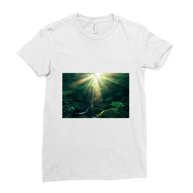 Divine Art Ladies Fitted T-Shirt by AllenSCrowley | Artistshot