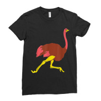 Ostrich - African Bird Africa Animal Zoology Nature Ladies Fitted T-shirt | Artistshot