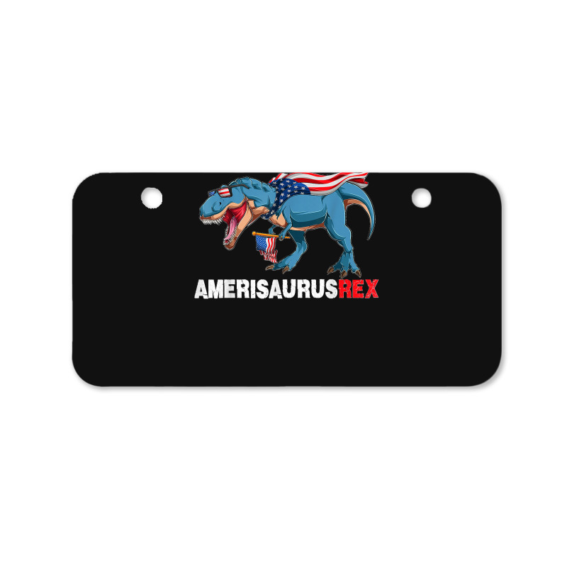 Funny Dinosaur 4th Of July Kids Boys Men Amerisaurus T Rex Bicycle License Plate | Artistshot