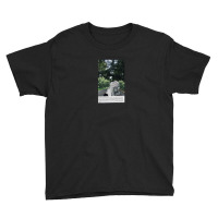 La Dolce Vita Marcello Mastroianni Silvia Youth Tee | Artistshot