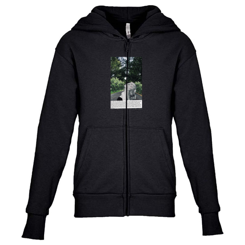 La Dolce Vita Marcello Mastroianni Silvia Youth Zipper Hoodie | Artistshot