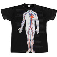 Circulatory System Anatomy Chart Arteries Veins Graphic T-shirt | Artistshot