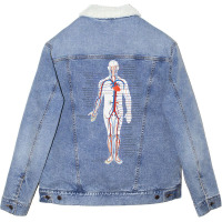 Circulatory System Anatomy Chart Arteries Veins Unisex Sherpa-lined Denim Jacket | Artistshot