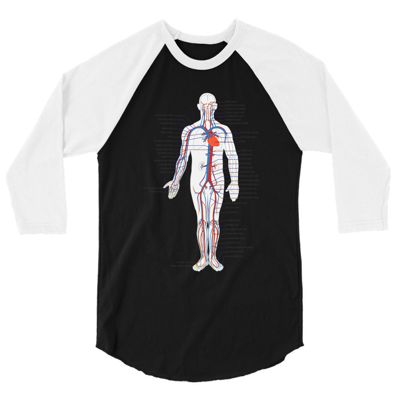 Circulatory System Anatomy Chart Arteries Veins 3/4 Sleeve Shirt by Aliceartist | Artistshot