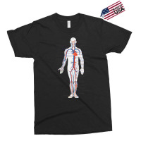 Circulatory System Anatomy Chart Arteries Veins Exclusive T-shirt | Artistshot