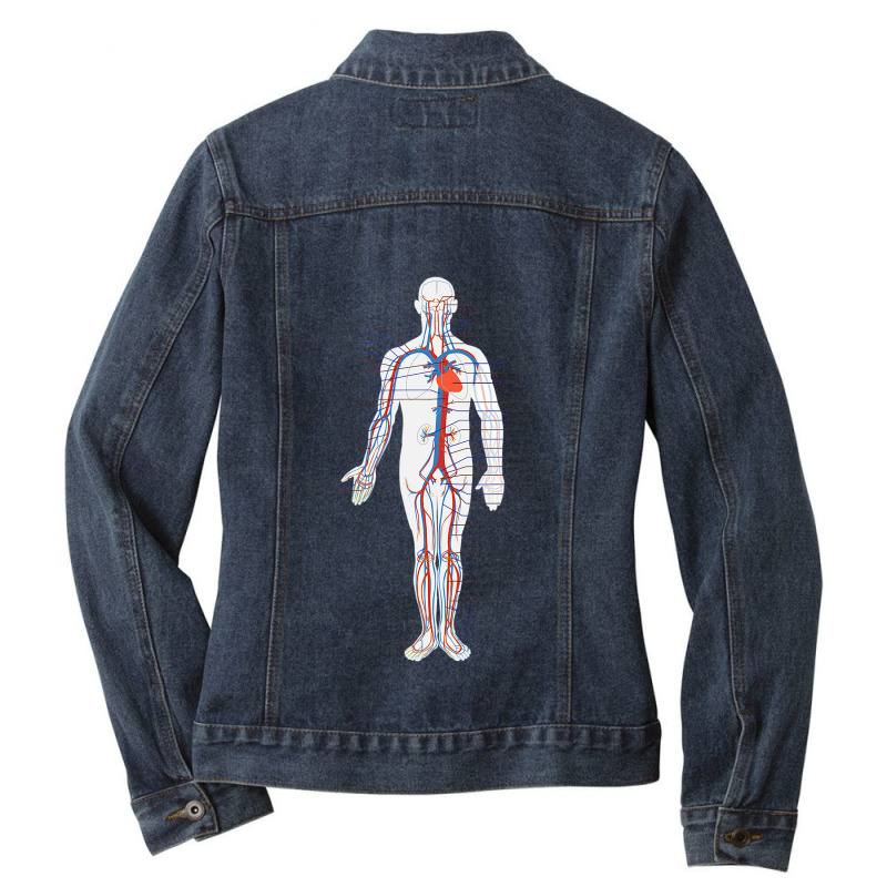 Circulatory System Anatomy Chart Arteries Veins Ladies Denim Jacket by Aliceartist | Artistshot