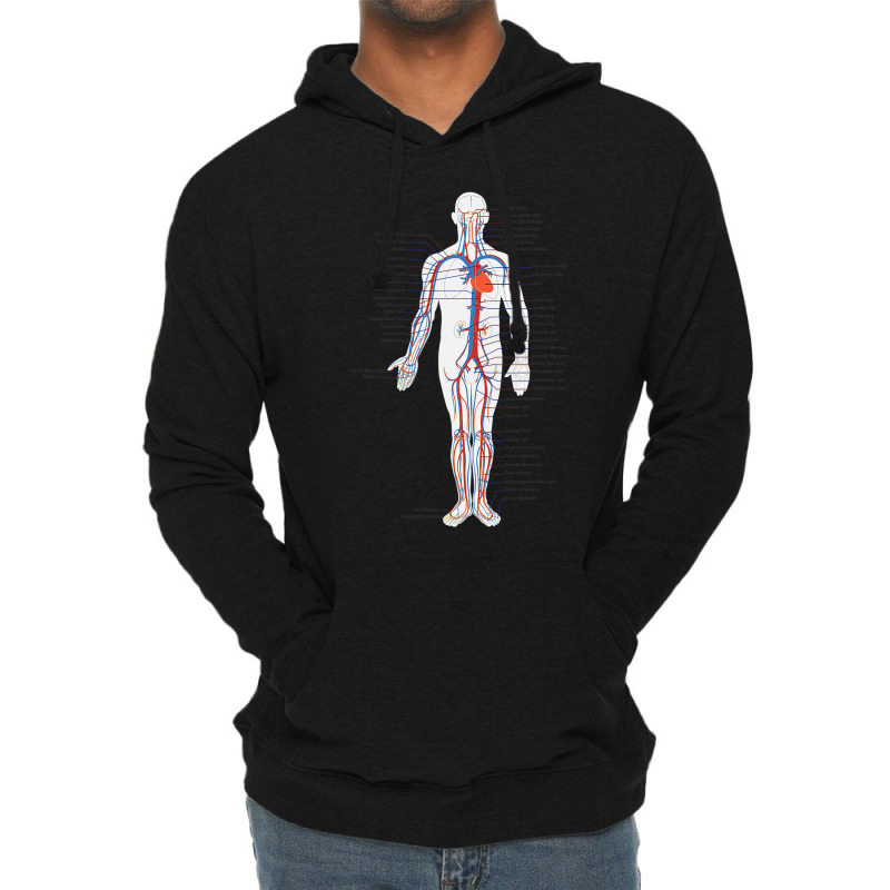 Circulatory System Anatomy Chart Arteries Veins Lightweight Hoodie by Aliceartist | Artistshot