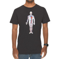 Circulatory System Anatomy Chart Arteries Veins Vintage T-shirt | Artistshot