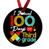 Colors Survived 100th Day Of 3rd Grade 100 Days Of School T Shirt Ornament | Artistshot