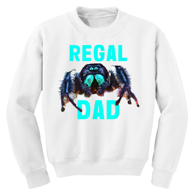 Regal Jumping Spider Dad Spooder Dad Fathers Day Pet Spider T Shirt Youth Sweatshirt by marge3nstbo | Artistshot