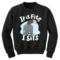 If It Fits I Sits Cute Canister Cat Fitness Animal Lover Youth Sweatshirt | Artistshot