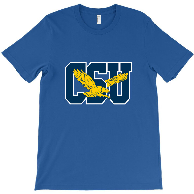 The Coppin State Eagles T-shirt | Artistshot