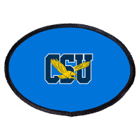 The Coppin State Eagles Oval Patch | Artistshot