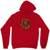 The Cornell Big Red Unisex Hoodie | Artistshot