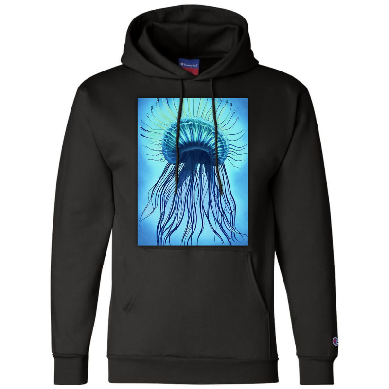 Jellyfish Artwork Marine Champion Hoodie | Artistshot