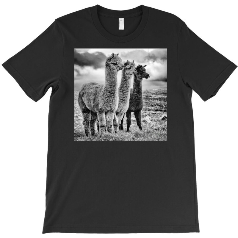 Lama Lineup T-shirt | Artistshot