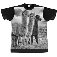 Lama Lineup Graphic T-shirt | Artistshot