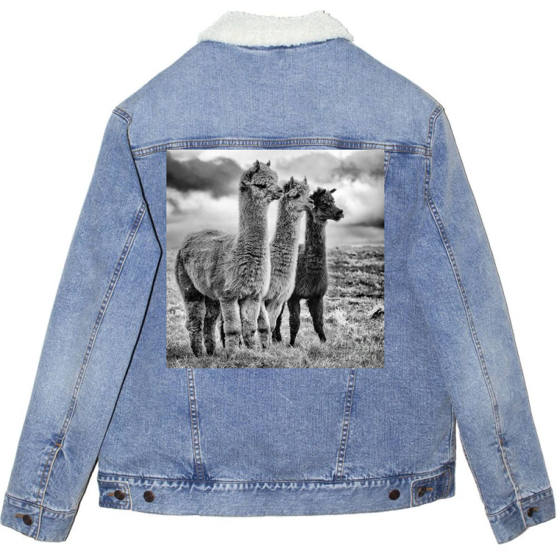 Lama Lineup Unisex Sherpa-lined Denim Jacket | Artistshot