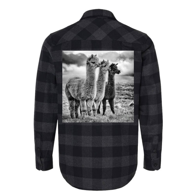 Lama Lineup Flannel Shirt | Artistshot