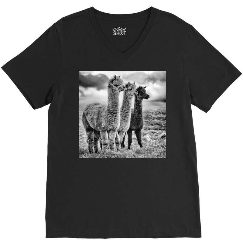 Lama Lineup V-neck Tee | Artistshot