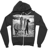 Lama Lineup Zipper Hoodie | Artistshot