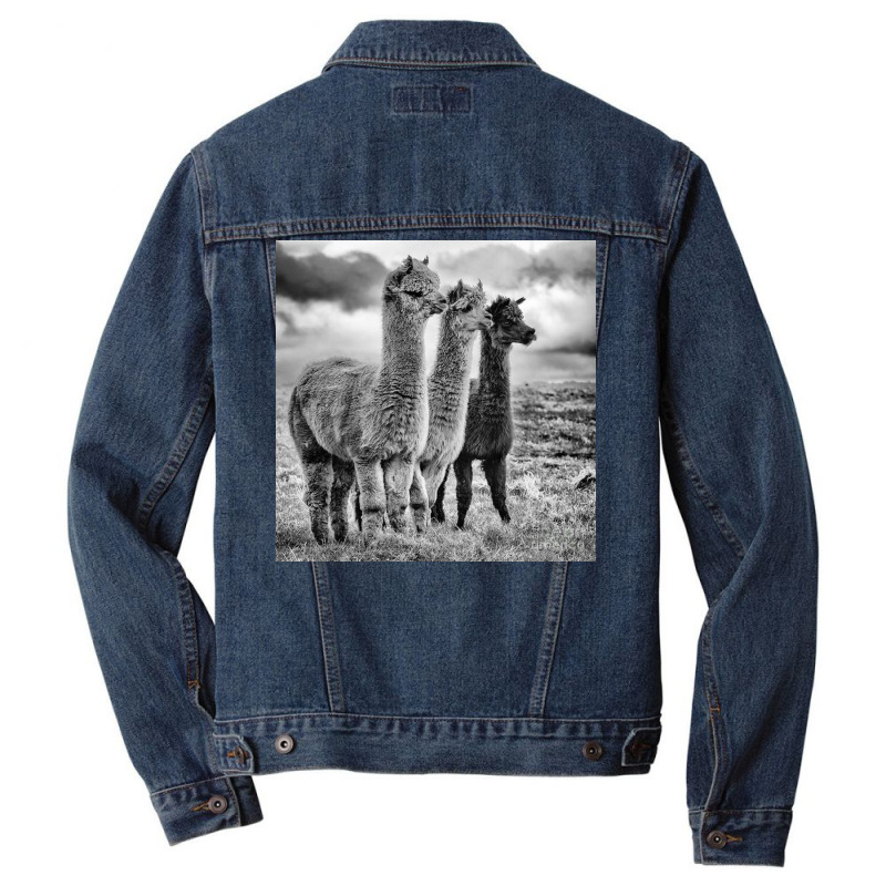 Lama Lineup Men Denim Jacket | Artistshot