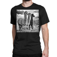 Lama Lineup Classic T-shirt | Artistshot