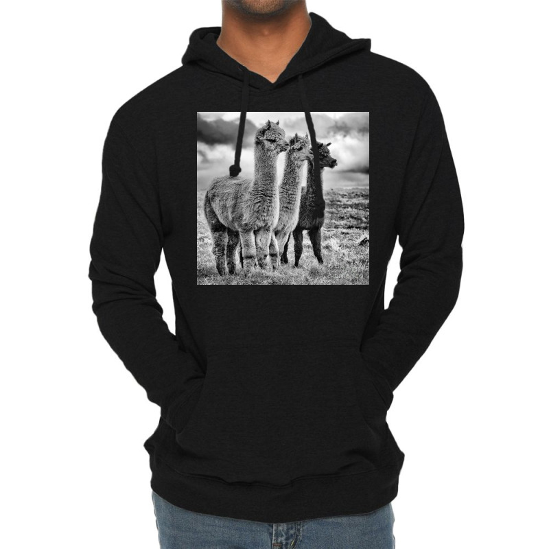 Lama Lineup Lightweight Hoodie | Artistshot