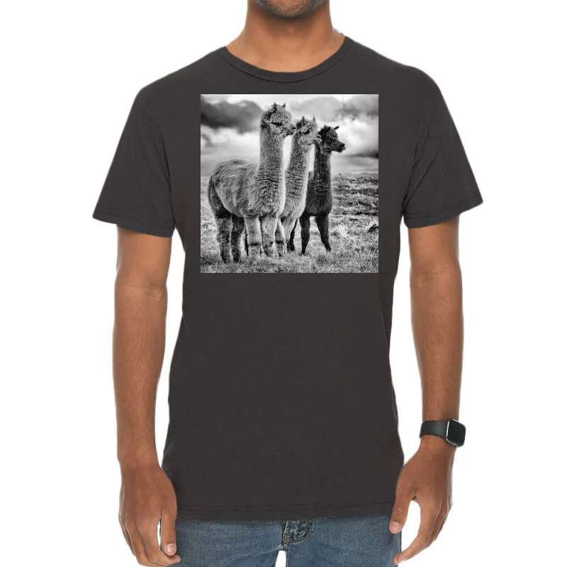 Lama Lineup Vintage T-shirt | Artistshot