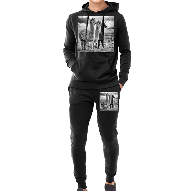 Lama Lineup Hoodie & Jogger Set | Artistshot