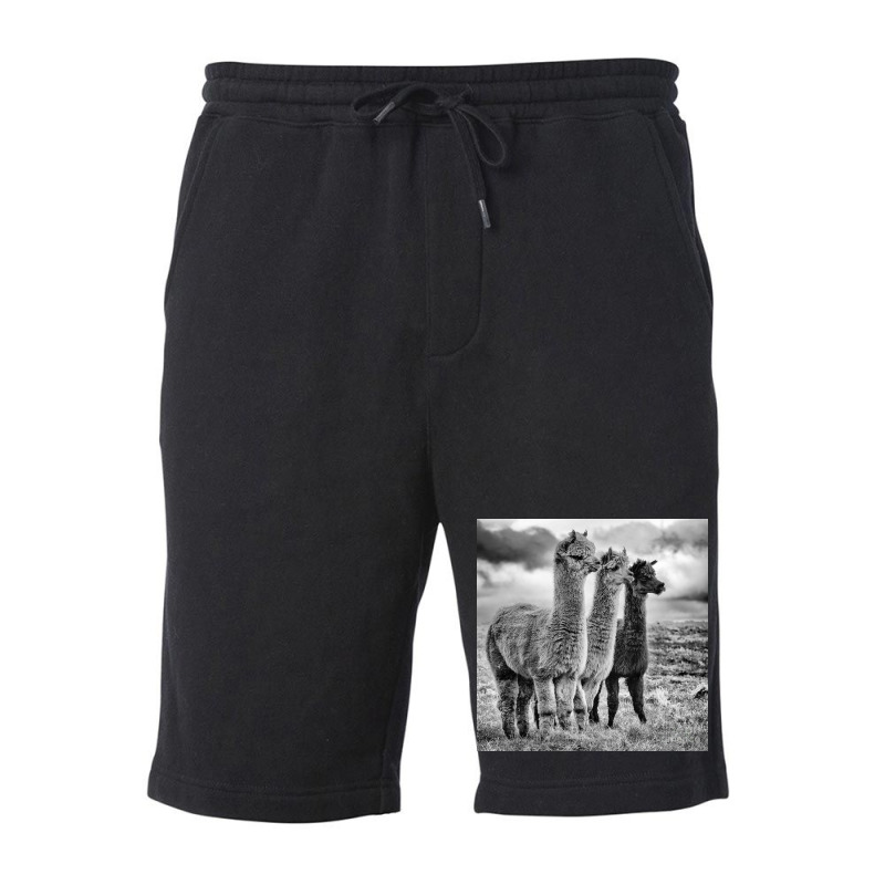 Lama Lineup Fleece Short | Artistshot