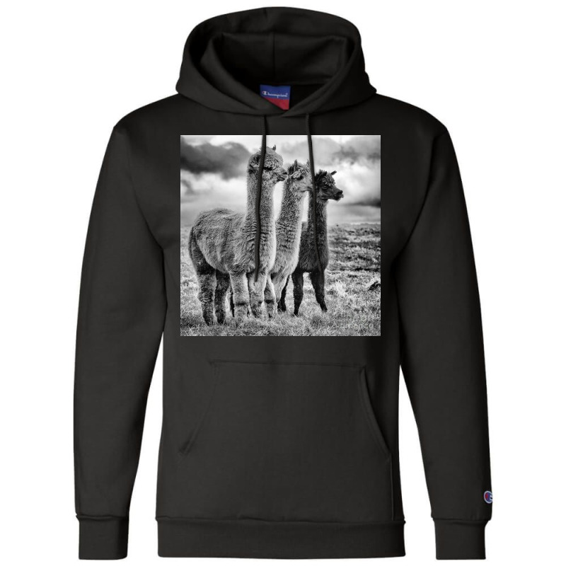 Lama Lineup Champion Hoodie | Artistshot