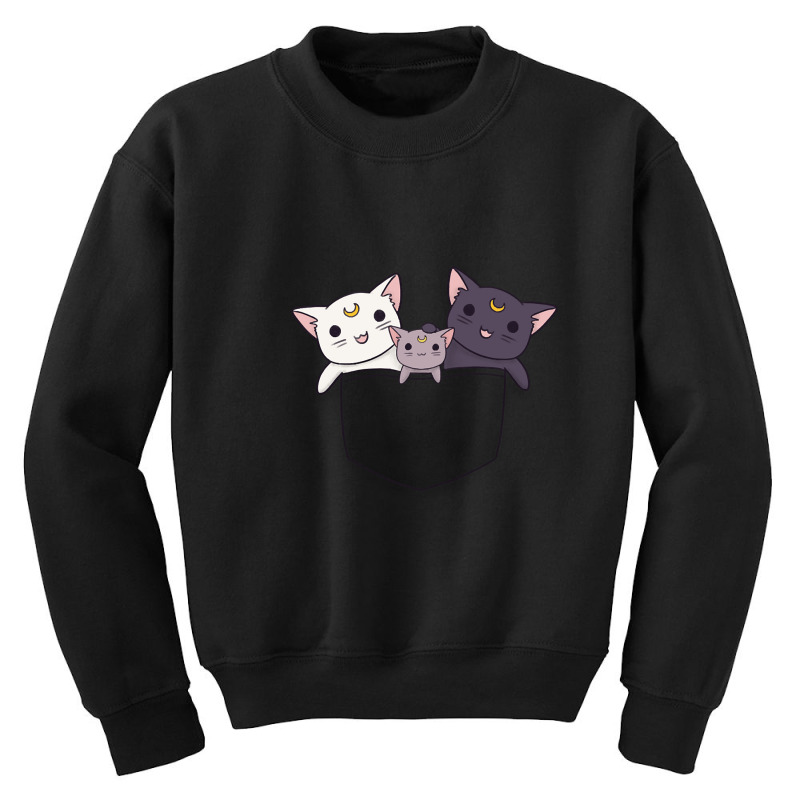 Pocket Lunar Family Youth Sweatshirt | Artistshot