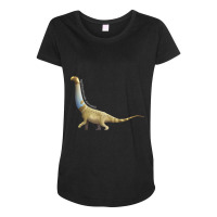 Opisthocoelicaudia Skarzynskii Maternity Scoop Neck T-shirt | Artistshot