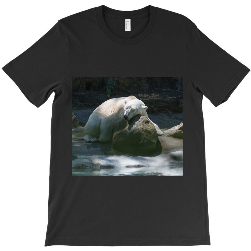 Tundra Taking A Little Nap After A Hard Day. T-shirt | Artistshot